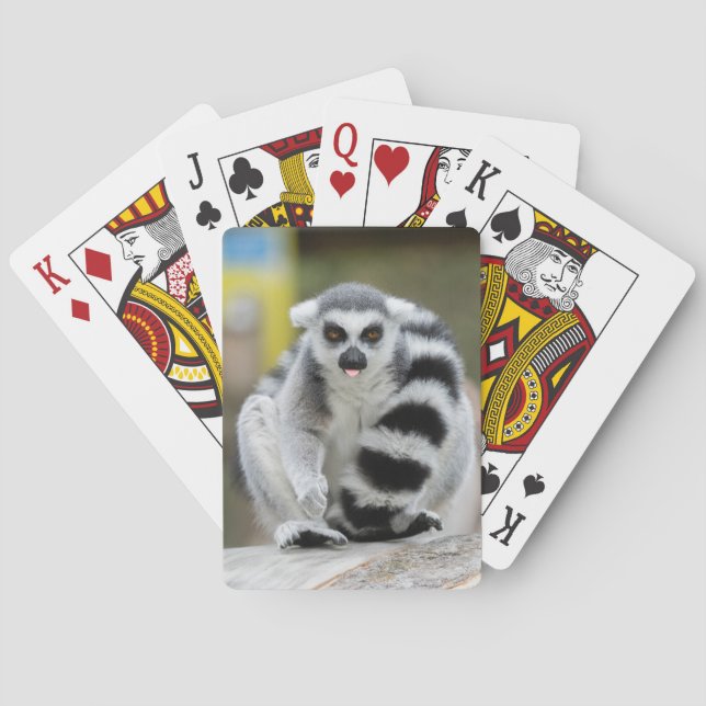 Lemur full av personlighet casinokort (Baksidan)