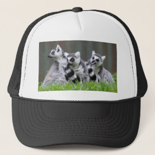 Lemur Gifts and Tees Keps