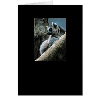 Lemur Hälsningskort