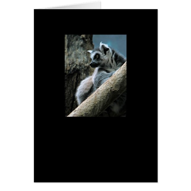 Lemur Hälsningskort (Framsidan)