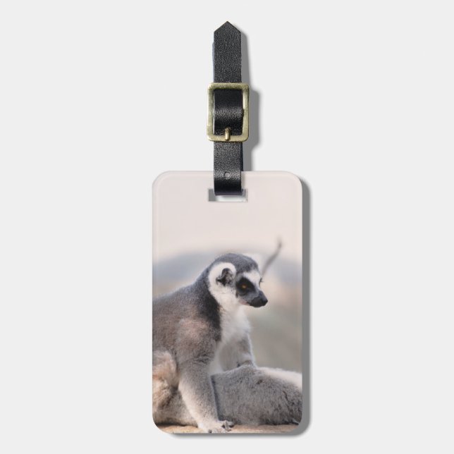 Lemur i Madagascar Bagagebricka (Vertikal Framsida)
