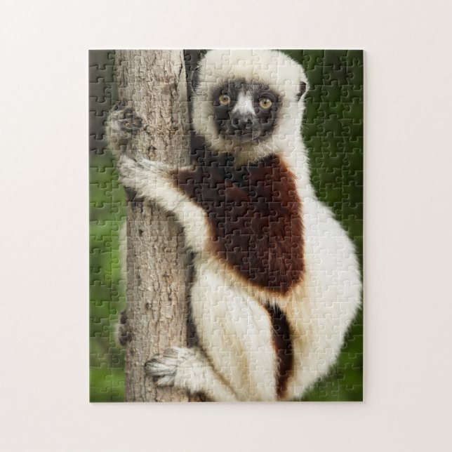 LEMUR JIGSAW PUZZZZE PUSSEL (Vertikal)
