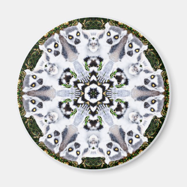 Lemur Kaleidoscope Magnet (Framsidan)