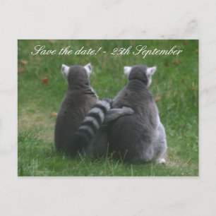 Lemur kärlek! ... Spara datum! Meddelande Vykort