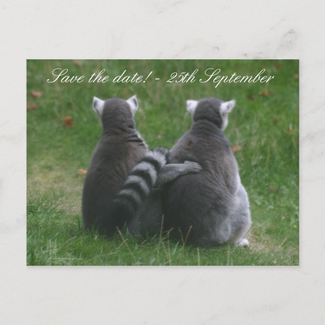 Lemur kärlek! ... Spara datum! Meddelande Vykort (Framsida)