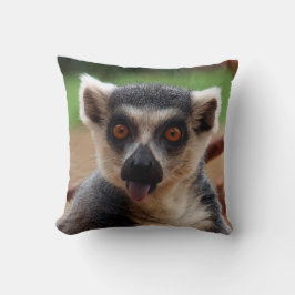 Lemur Kudde