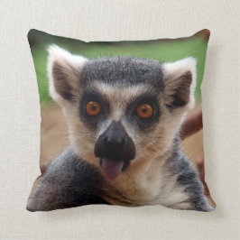 Lemur Kudde
