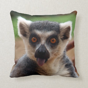 Lemur Kudde