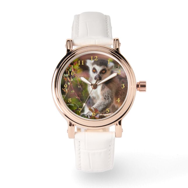 LEMUR LEISURE ARMBANDSUR (Framsida)