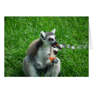 Lemur Lunch Hälsningskort