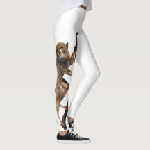 Lemur Monkey Creature från Lemur, underbart överra