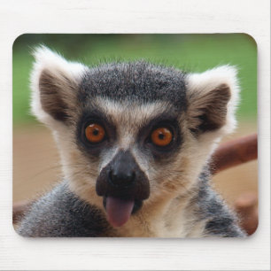 Lemur Mousepad Musmatta