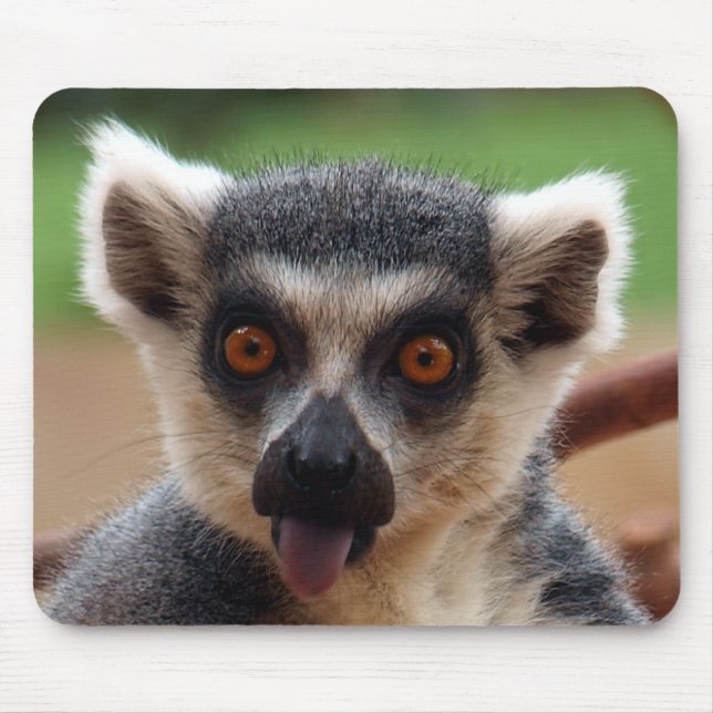 Lemur Mousepad Musmatta (Framsidan)