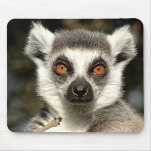 Lemur Mousepad Musmatta