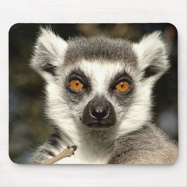 Lemur Mousepad Musmatta (Framsidan)