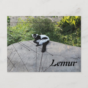 Lemur nr 2 vykort