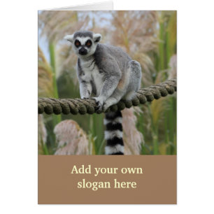 Lemur på repfotoet som skräddarsy sig Yourself Hälsningskort