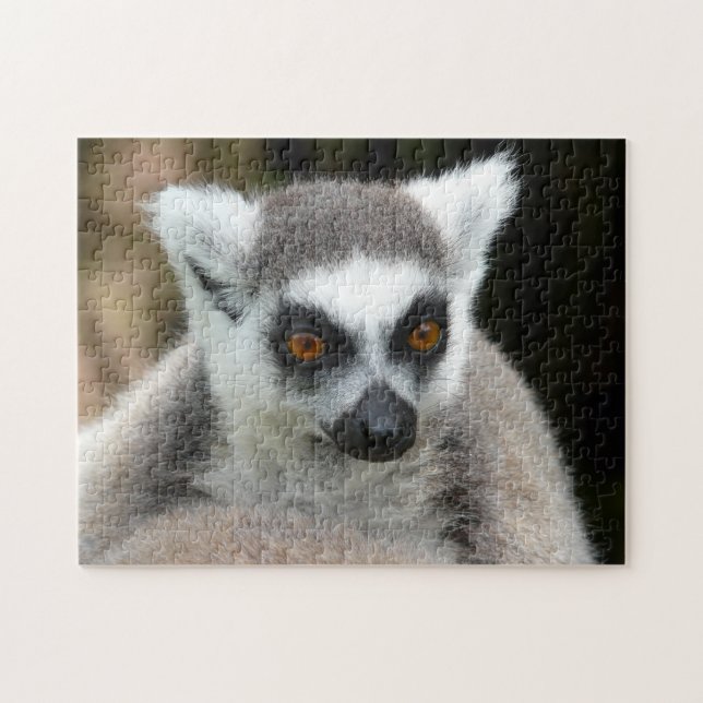 lemur pussel (Horisontell)