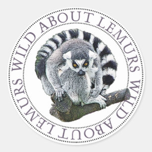 Lemur Runt Klistermärke