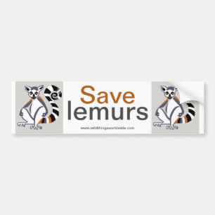 Lemur - stötfångare bildekal