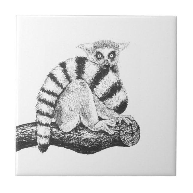 Lemur teckning kakelplatta (Framsidan)