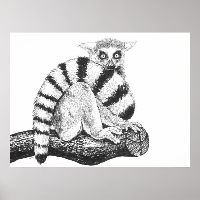Lemur teckning poster (Framsidan)