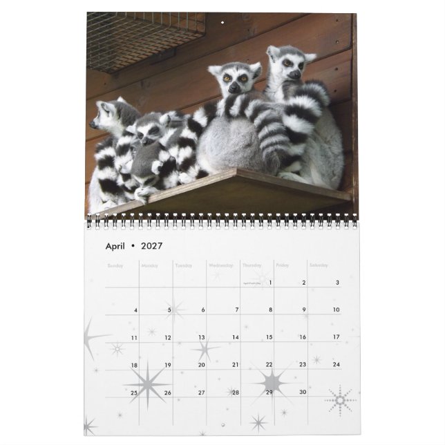 Lemur Vild Primate Välkomsthem Destiny Destiny's's Kalender (Apr 2027)