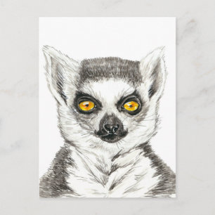 Lemur Vykort