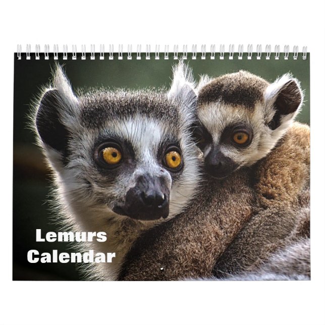 Lemurer 2027 kalender (Omslag)