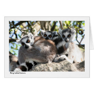 Lemurgåvakort Hälsningskort