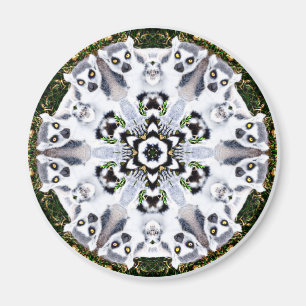 LemurKaleidoscope Magnet
