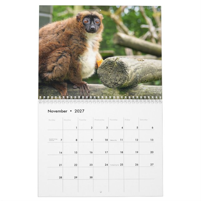 Lemurkalender 2027 kalender (Nov 2027)