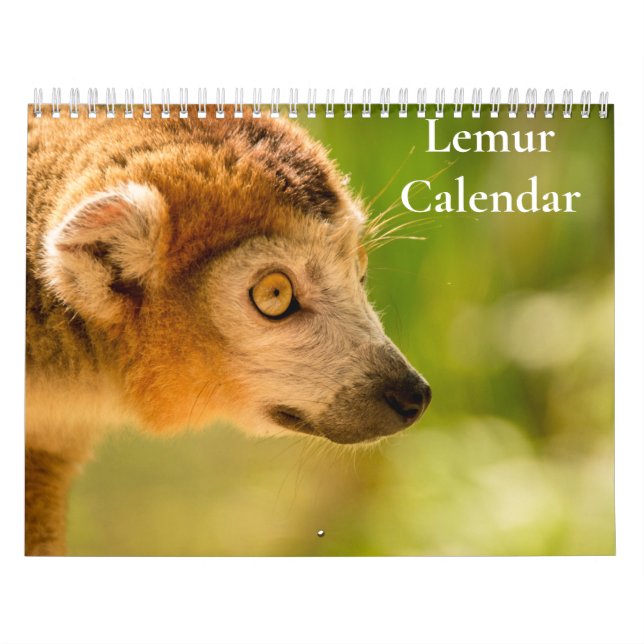 Lemurkalender 2027 kalender (Omslag)