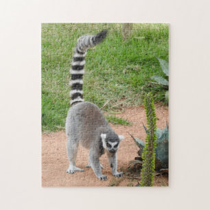 Lemurpussel Pussel