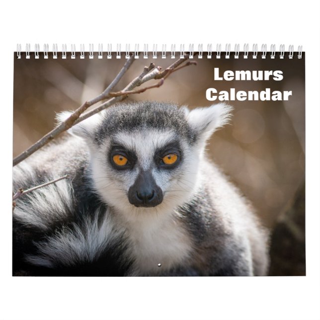 Lemurs 2025 kalender (Omslag)