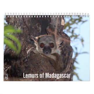 Lemurs av den Madagascar kalendern Kalender