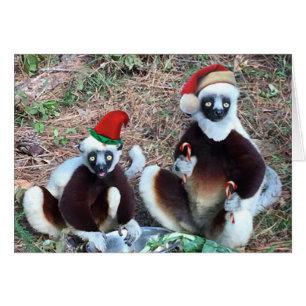 Lemurs Greeting Card Hälsningskort