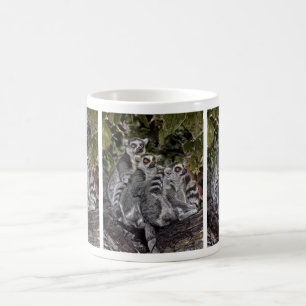 Lemurs i en romugg kaffemugg
