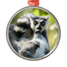 Lemurs i Madagaskar