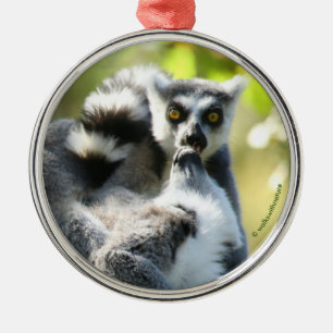 Lemurs i Madagaskar Julgransprydnad Metall