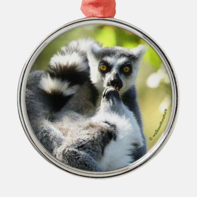 Lemurs i Madagaskar Julgransprydnad Metall (Framsidan)