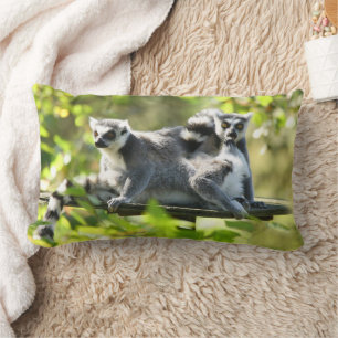 Lemurs i Madagaskar Lumbarkudde