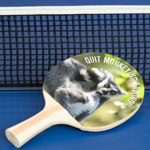Lemurs i Madagaskar Pingisracket