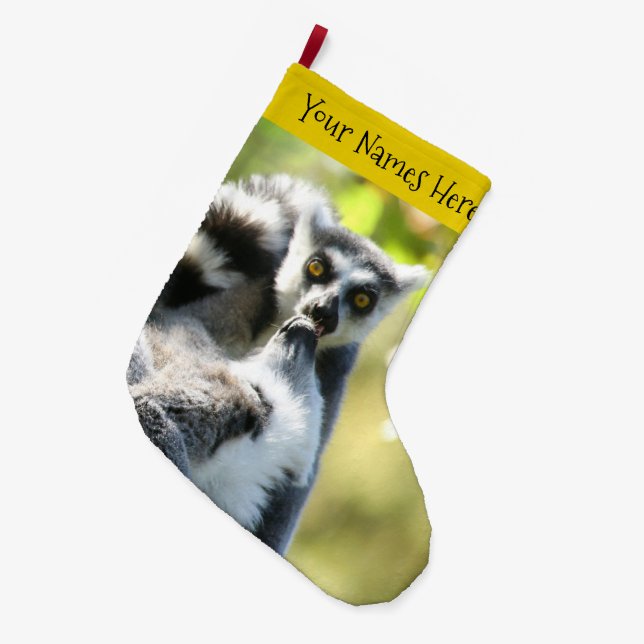Lemurs i Madagaskar Stor Julstrumpa (Framsidan (Hängande))