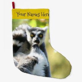 Lemurs i Madagaskar Stor Julstrumpa