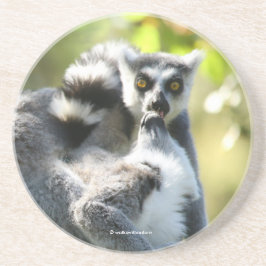 Lemurs i Madagaskar Underlägg