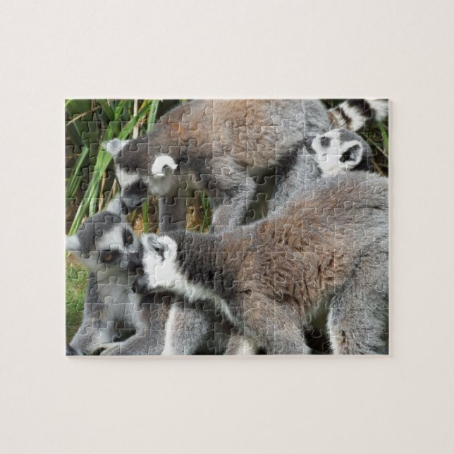 Lemurs Jigszawa Puzzle Pussel (Horisontell)