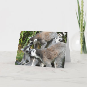 Lemurs-kort Kort