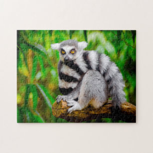 Lemurs. Pussel