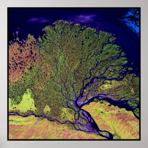 Lena Delta Ryssland Poster